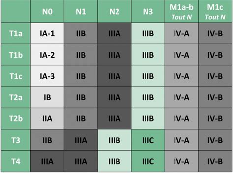 Classification Tnm 8ème édition Aura