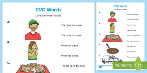 Cvc Words Reading Worksheet Teacher Made