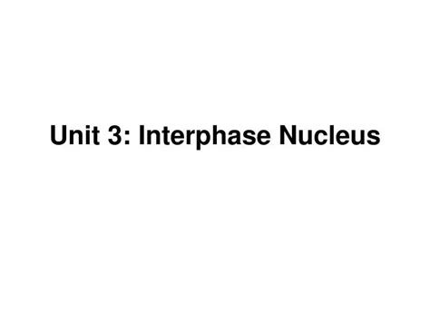 Ppt Unit 3 Interphase Nucleus Powerpoint Presentation Free Download Id1710452