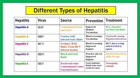 Hepatitis Causes Treatment Types Symptoms And Vaccine Hepatitis B