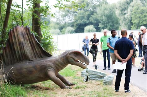 Jurrasic Encounter In Het Beatrixpark Ontmoet Levensechte Dinosaurussen