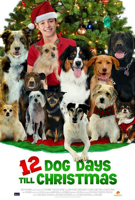 Pin su Family christmas movies | Cani