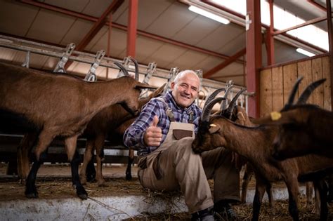 Premium Photo | Farm worker taking care of domestic animals and playing ...