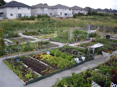 17 Best images about Community Garden Ideas on Pinterest | Gardens ...