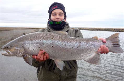 6° Encuentro Nacional De Pesca Con Mosca En Tierra Del Fuego ~ Pesca