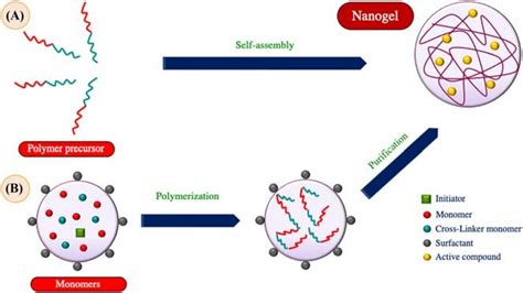 4 Nanogel synthesis methods: (A) polymer precursor method and (B ...