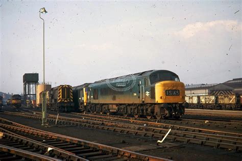 transport library british railways diesel locomotive  class