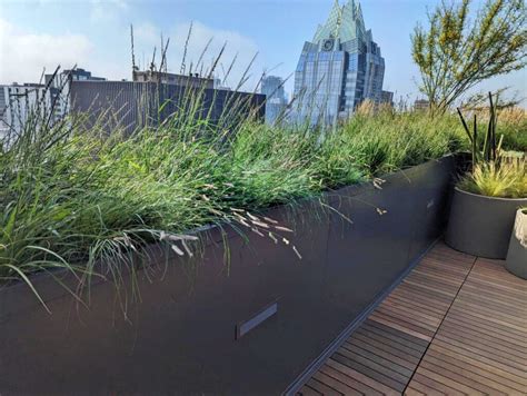 Why Do A Green Roof Feature Projects Congress Austin Tx And