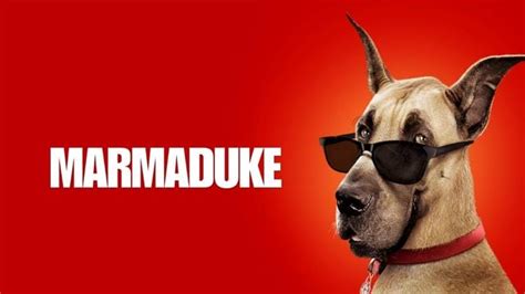 Marmaduke: Check Out For Cast, Plot & Many More ! | Trending News Buzz