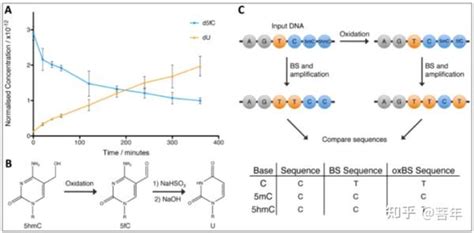 Dna甲基化建库 学习1 知乎