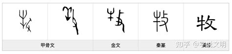 牧——每日一字·攴部字 知乎