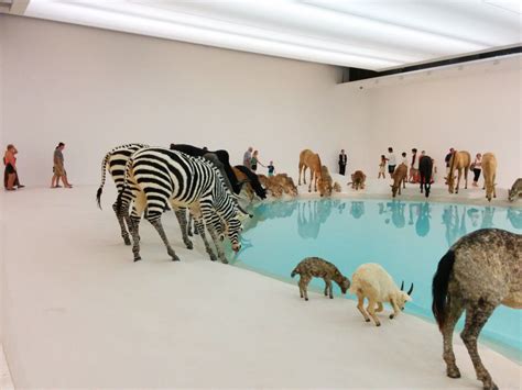 gomainstallationhighres parenthub