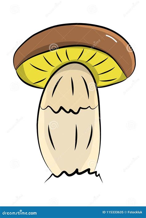 Single Brown Boletus Mushroom In Adult Form Hand Drawn Vector