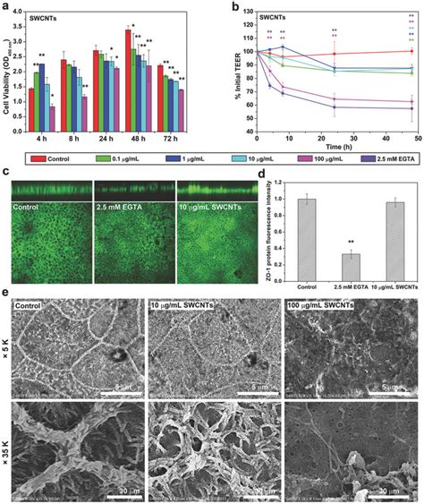 Cell Viability And Monolayer Integrity Of Caco 2 Cells After Treatment