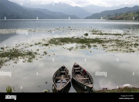 phewa lake phewa tal  fewa lake  pokhara nepal stock photo alamy