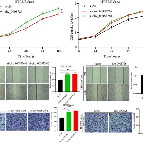 Circ0008726 Inhibited The Proliferation Migration And Invasion Of