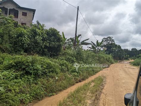 Terrains Terrain M Yassa Au Cameroun Coinafrique Cameroun