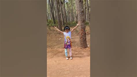 Beautiful Pine forest #travel #daughter #trendingmusic #ytshorts # ...