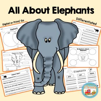 All About Elephants Writing Prompts Graphic Organizers Diagram By