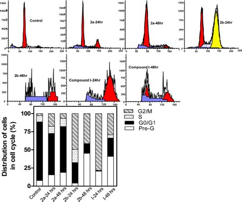 Effect of Compounds 2a b and Ι on DNA Ploidy Flow Cytometric Analysis