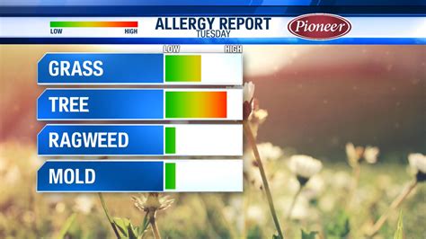 Wate Victoria Cavaliere On Twitter The Allergy Report For Today