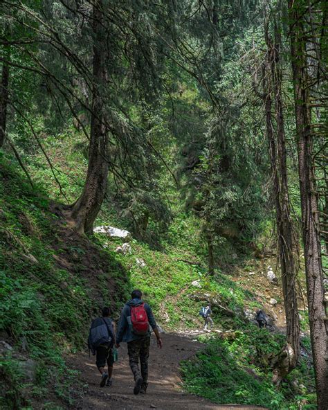 Adventures of Barot: Top Hikes to do in Himachal’s Offbeat Town | Zostel