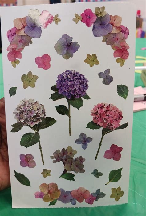 Mrs Grossmans Giant Stickers Photo Hydrangea Stems Pink Purple