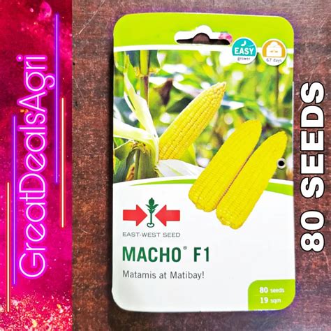 Macho F Hybrid Sweet Corn Seeds Seeds By East West Seeds Lazada Ph