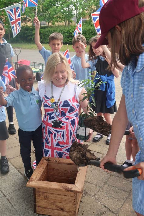 Olympus Academy Trust Beautiful Day For A Spot Of Coronation Tree