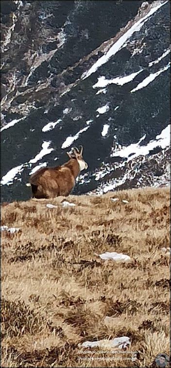 Zdjęcie w albumie Tatry Zachodnie trasa pętla Witów Siwa Polana