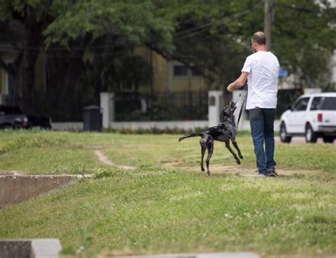 Bayou St. John - New Orleans Real Estate & Neighborhood Guide