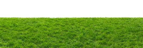 Field Grass Green Png Sharp Details