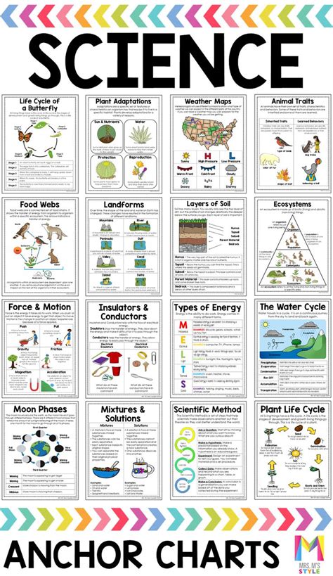 Science Poster And Anchor Chart Bundle Third Grade Science Lessons