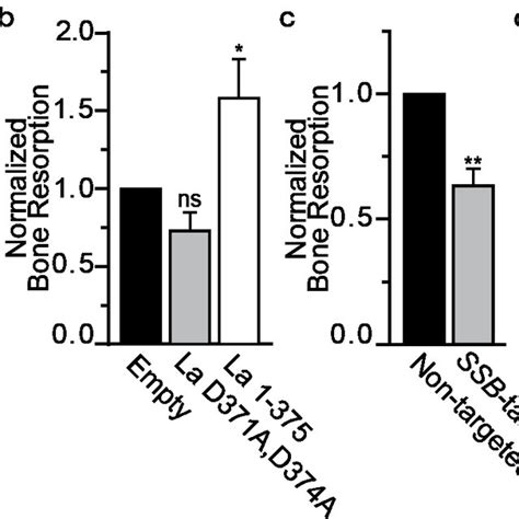 Interfering With La Influences Bone Resorption By Human Osteoclasts Download Scientific