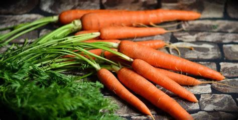 Carrot Seed Oil Benefits And Uses Health Tenfold