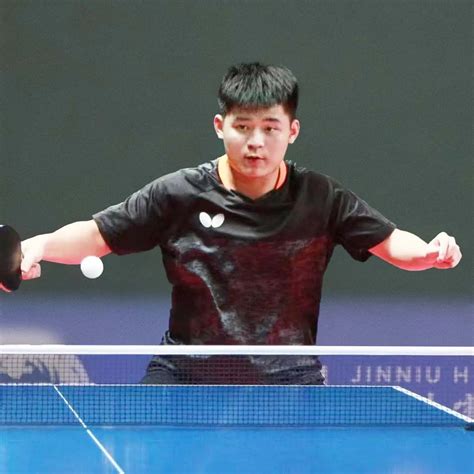 Lin Shidong Butterfly Online Butterfly Table Tennis