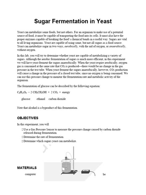 Sugar Fermentation In Yeast 23 Pdf Fermentation Carbon Dioxide