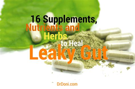 16 Supplements Nutrients And Herbs To Heal Leaky Gut Doctor Doni