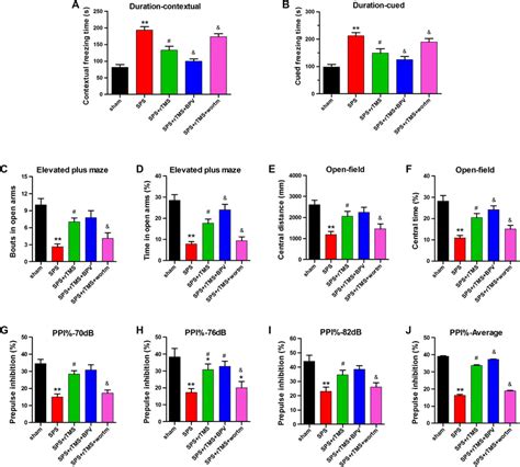 Rtms Alleviated The Sps Induced Ptsd Like Behaviours Via Activation Of