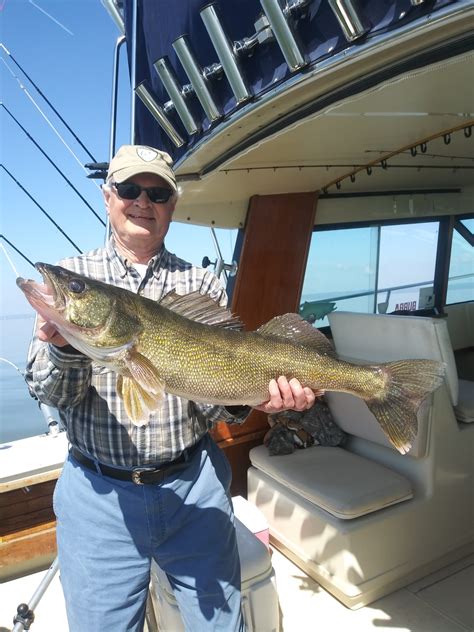 Big Walleyes Lake Superior Fishing Optimum Charters