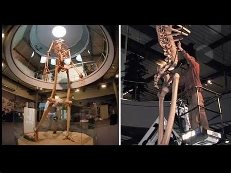 Smithsonian Cover Up Of The Nephilim Or Giants YouTube