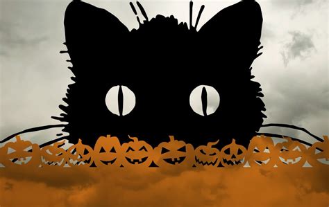 Black Cat Halloween Decorations Halloween Cat Black Cat - Etsy