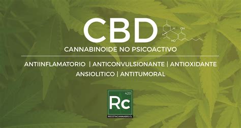 Todo Lo Que Necesita Saber Sobre El Uso De Cbd Para El Dolor Y La