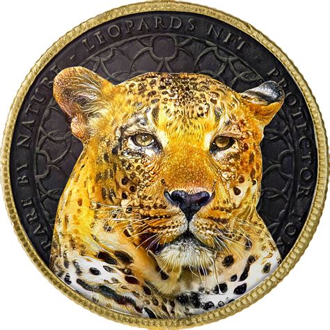 Crocodiles Temperature Dependent Sex Determination Londolozi Blog