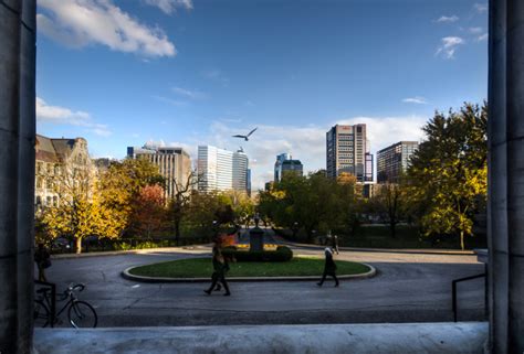 McGill University Campus – A few autumn pics