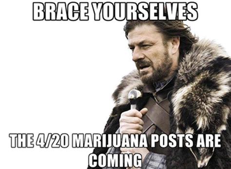 Let's Get Into These 420 Memes and Jokes!