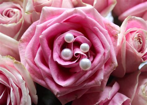 Naked Pearls OFF Domesticated Me