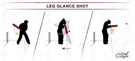 Learn 8 Basic Cricket Shots: How to Play as a Beginner