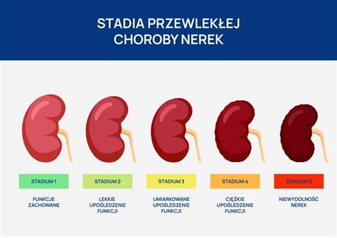 Przewlekła choroba nerek PChN objawy przyczyny diagnostyka