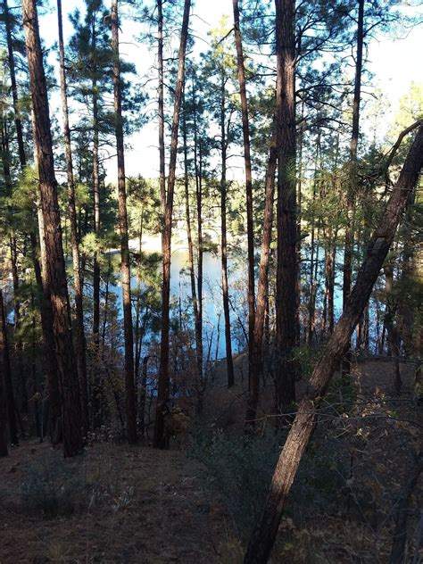 Goldwater Lakes Trail 396 - Arizona | AllTrails